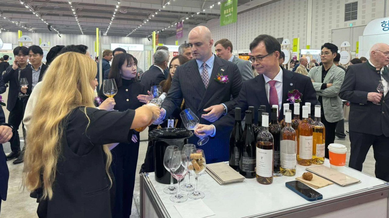 Daejeon International Wine Festival