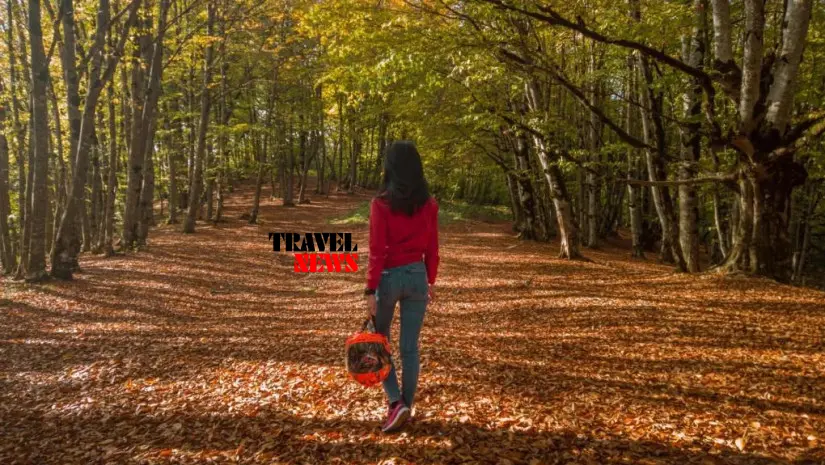 Tbilisis erovnuli parki