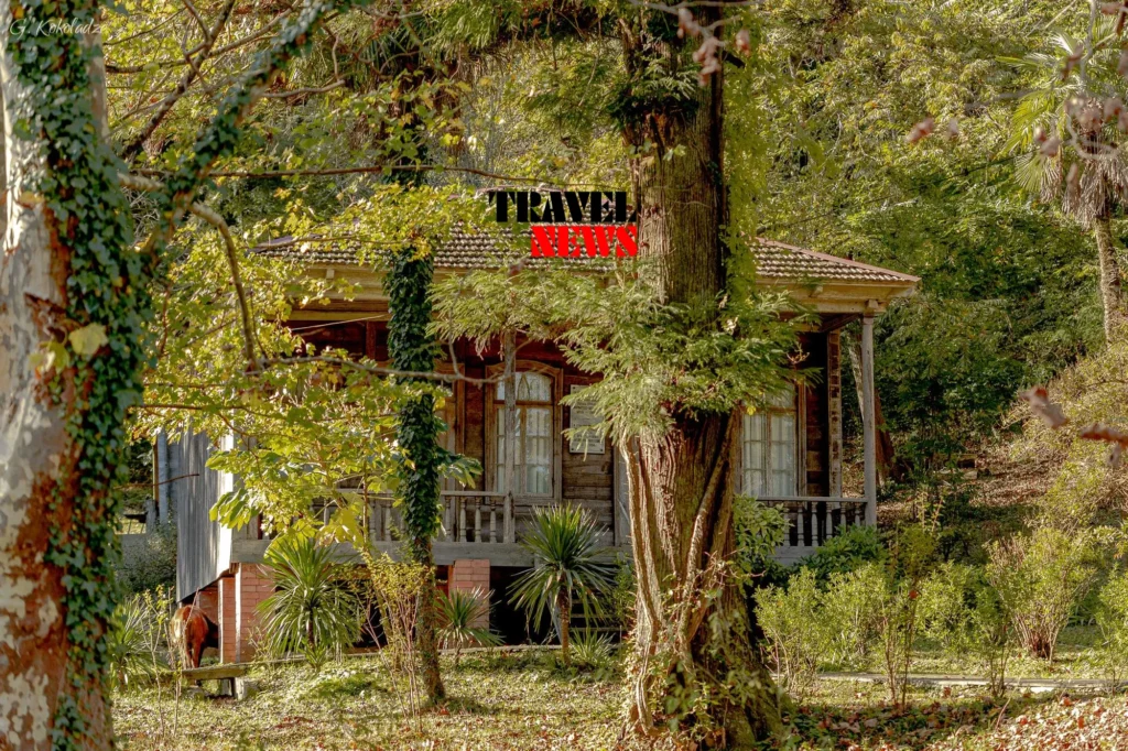 egnate ninoshvilis saxl muzeumi