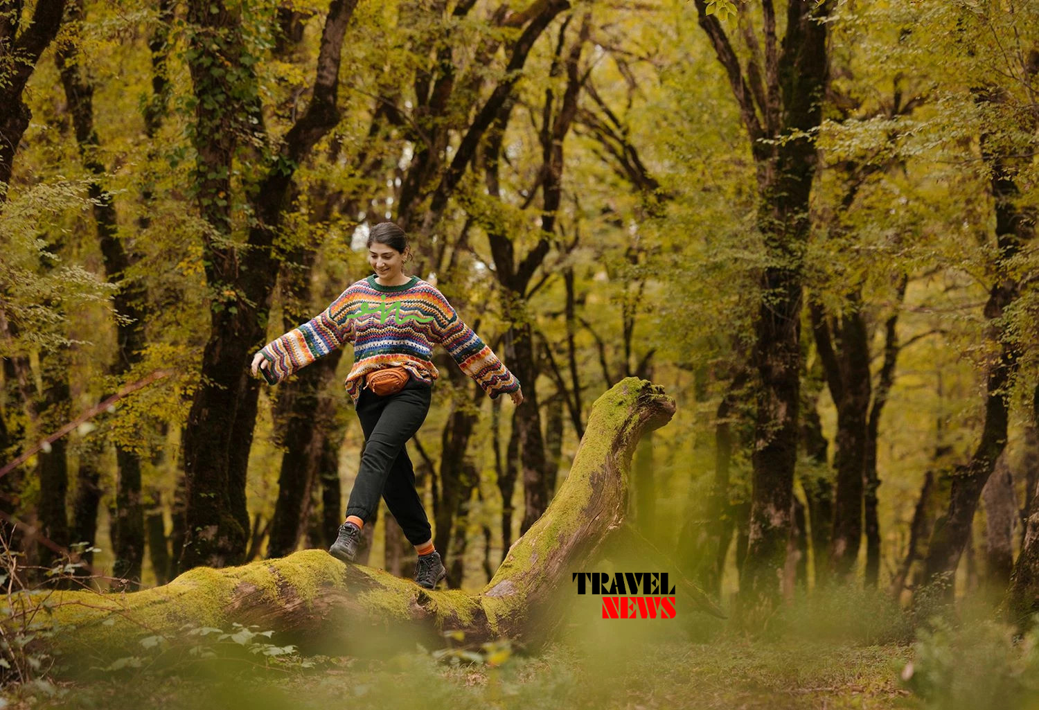 saqartvelos erovnuli parkebi