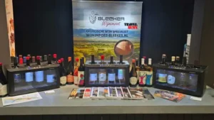 kartuli gvino niderlandebshi