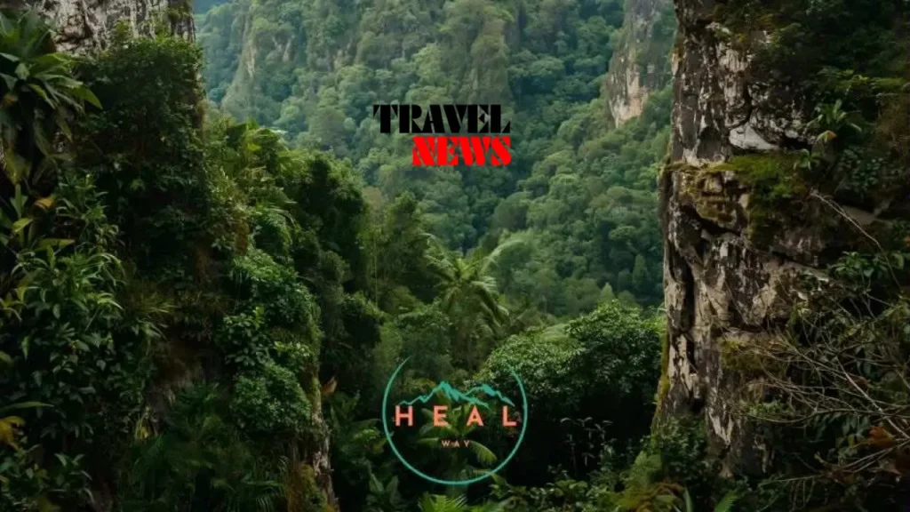 mentaluri janmrteloba