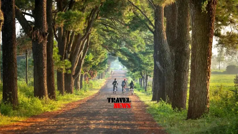 velosipedis axali marshuti