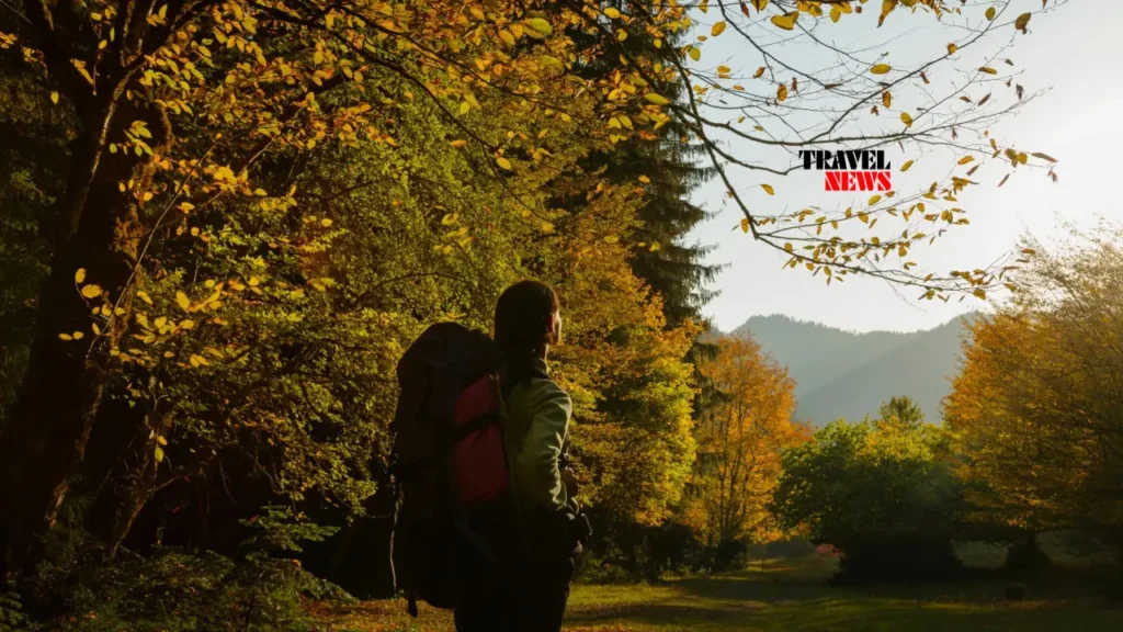 ecoturizmis ganvitareba