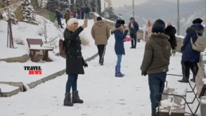 vizitorebi rusetidan