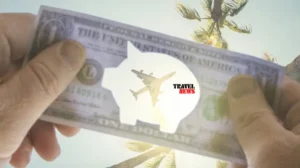 biujeturi samogzauro mimartulebebi