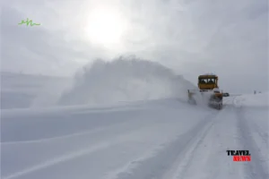saavtomobilo gzebze arsebuli vitareba