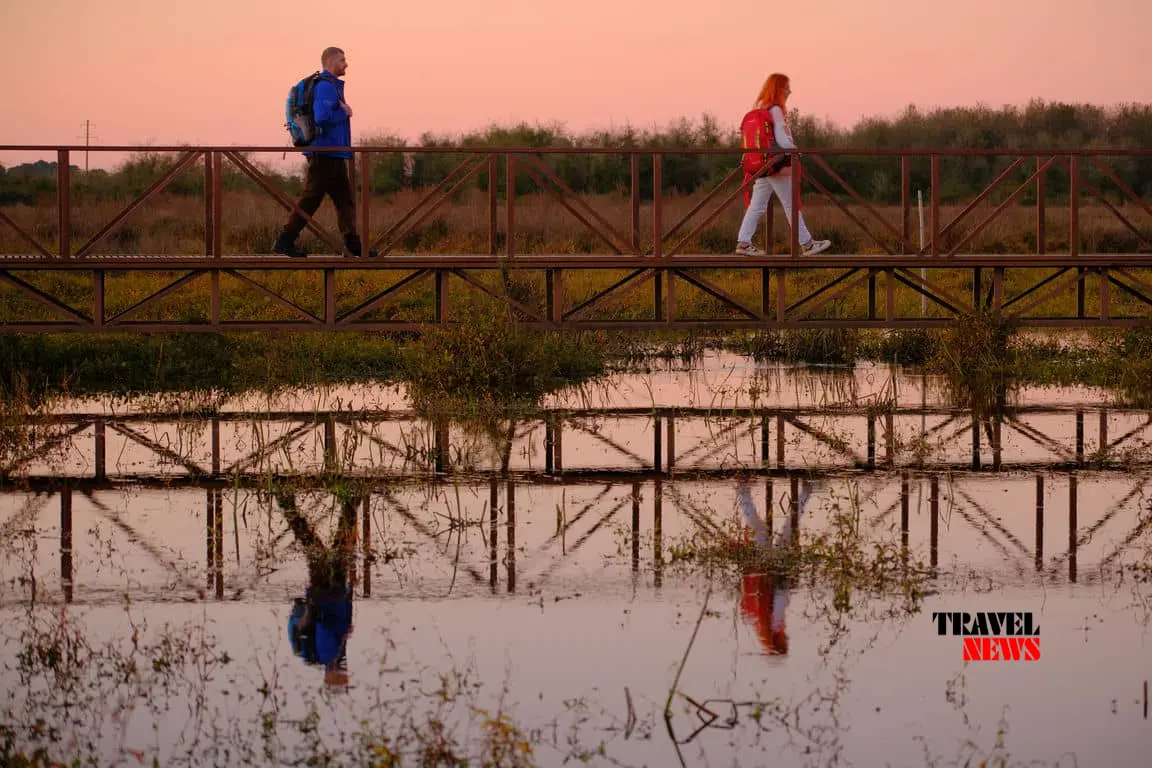 biletebis fasebi dacul teritoriebze