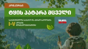 ტყის პატარა მცველი - შემოქმედებითი კონკურსი